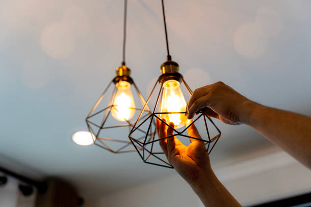 Best Electric Panel Repair  in Celina, TX